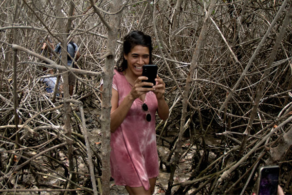 Peru-explores-1-mangroves