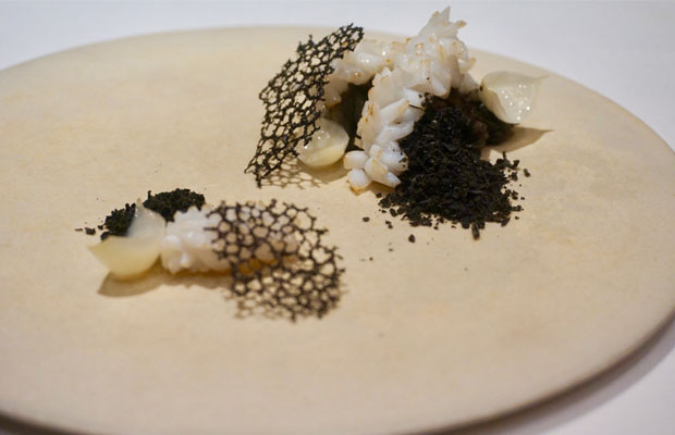 Tirpse-dish1-DCI2016