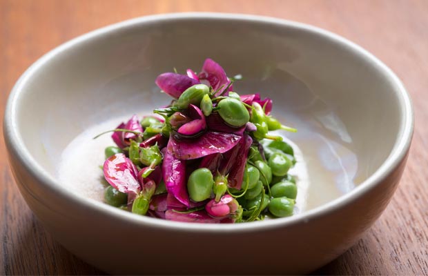 Orana-DCI-food1-2015