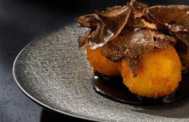 Catbird-DCI2017-dish2