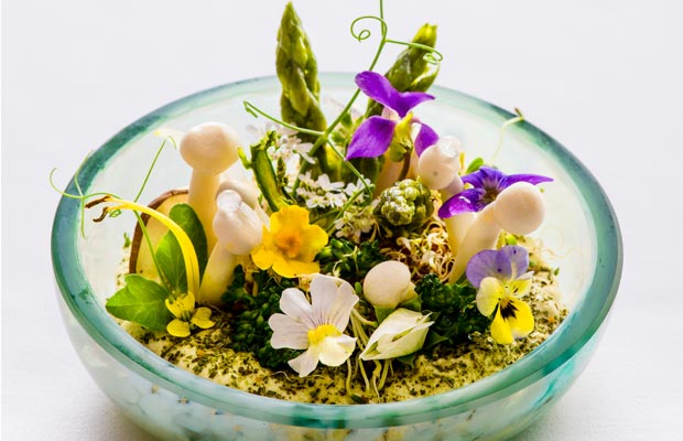 Mosaic-DCI-dish-2-620x400