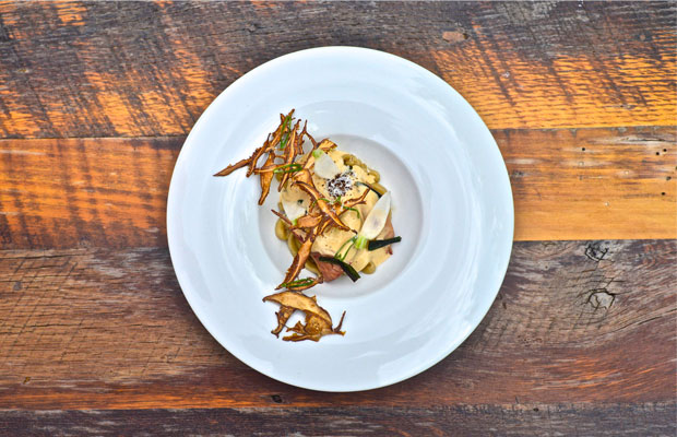 Alter-dish2-DCI-2017