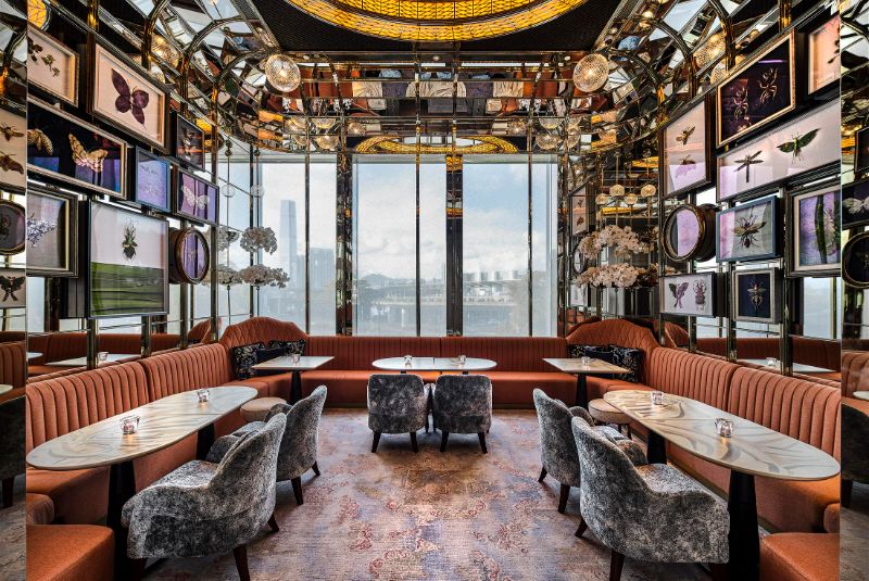 HK-disco-argo-incopy