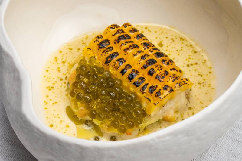 MENA50BR25-CC-TalaBashmi-3