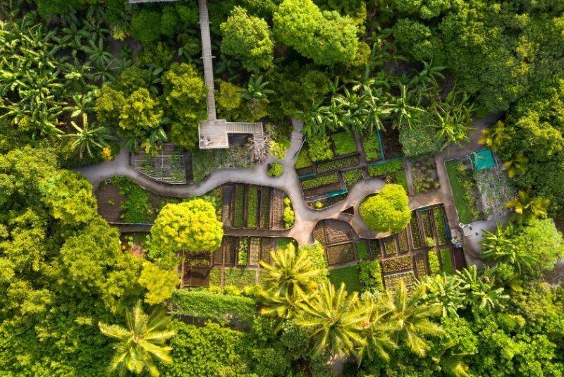 W50BH24-Best-beach-gardens