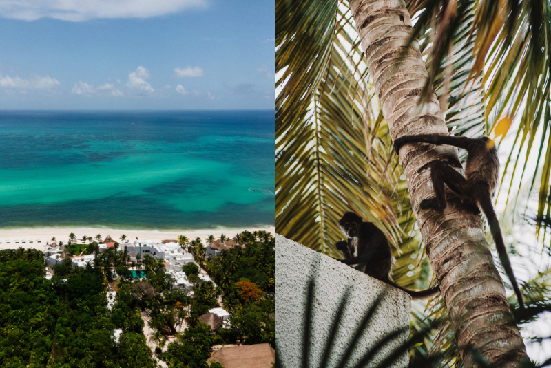 W50BH24-eco-hotel-incopy