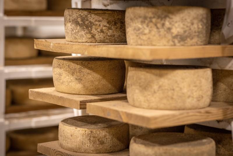 W50BR25-Piedmontfoodanddrink-5