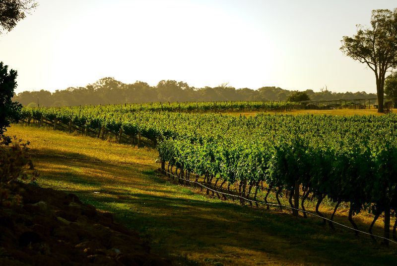 W50BV25-d-l-location