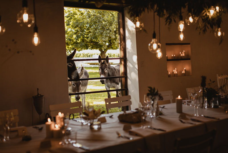 Wedding-Hotels_Babylonstoren-Simondium-Old-Cellar
