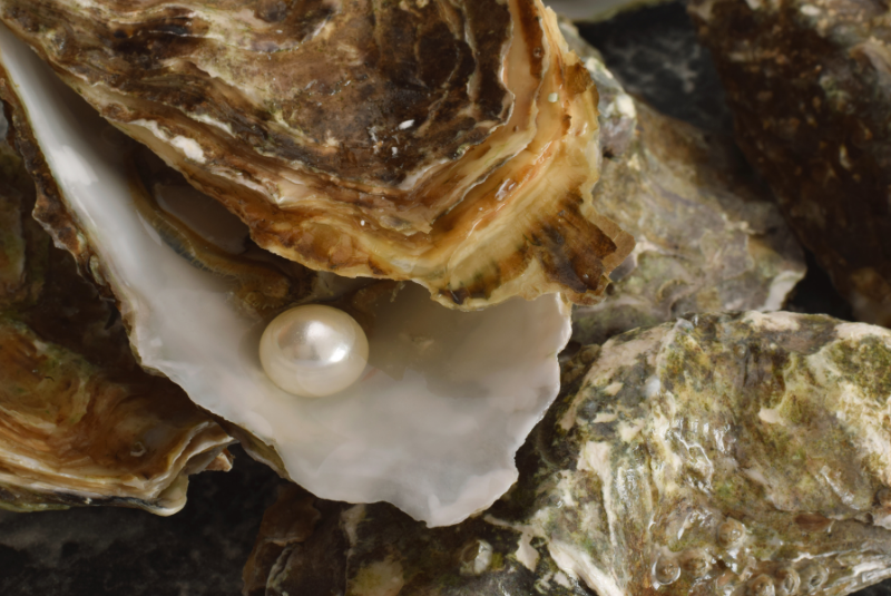10-Oyster-pearls