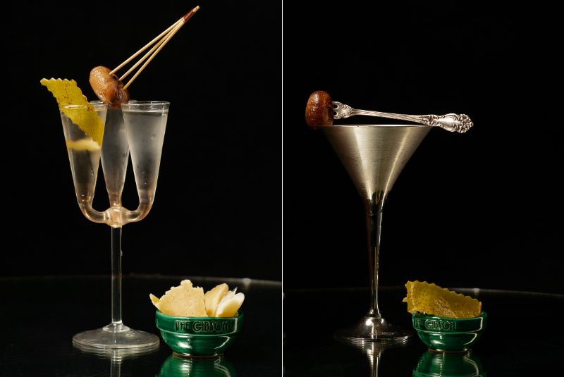 12-Best-Martinis-in-London-COPY-The-Gibson