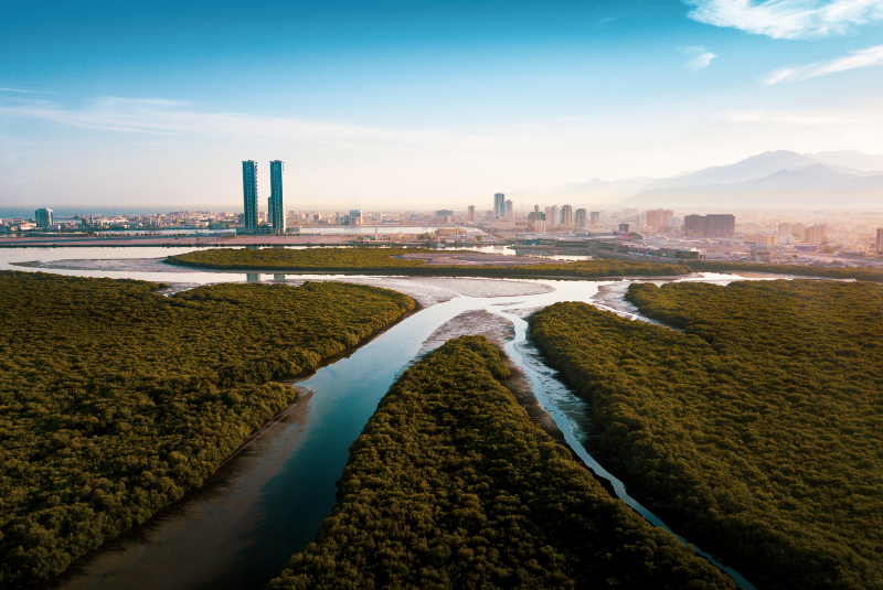 20-Ras-al-Khaimah-mangrove-UAE