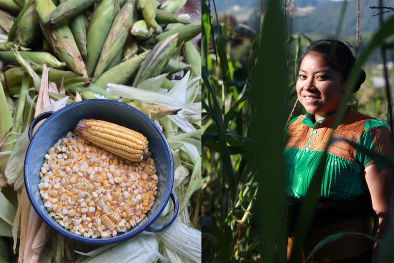 50-Next-2021-Claudia-Albertina-Ruiz-Santiz