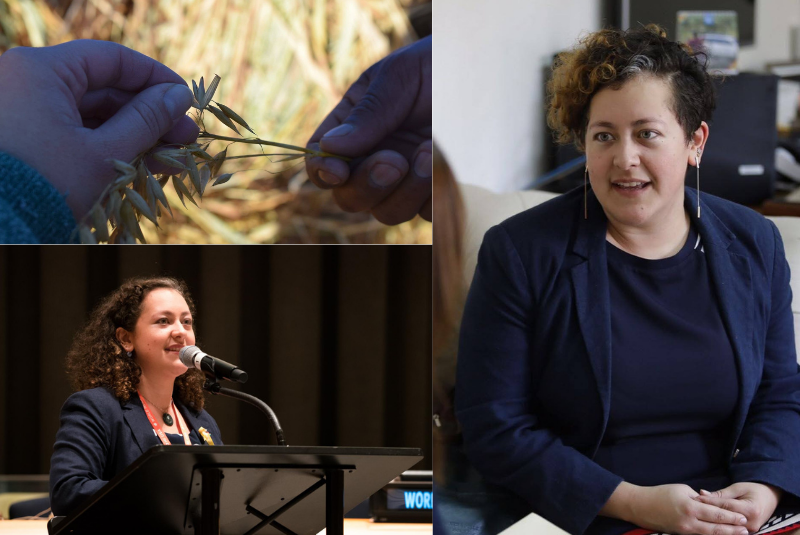 50-Next-Application-Tips-Bibi-La-Luz-Gonzalez-1