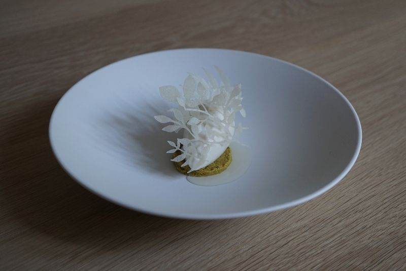 A50BR24-51-100-Copy-Crony