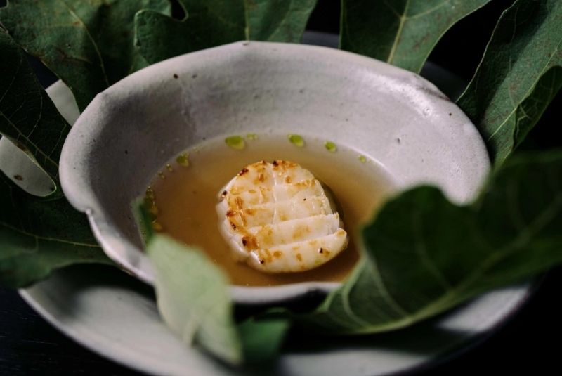 A50BR24-51-100-Copy-Ensue