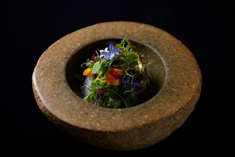 A50BR24-51-100-Copy-Hommage