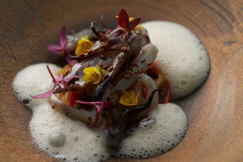 A50BR24-51-100-Copy-Levo