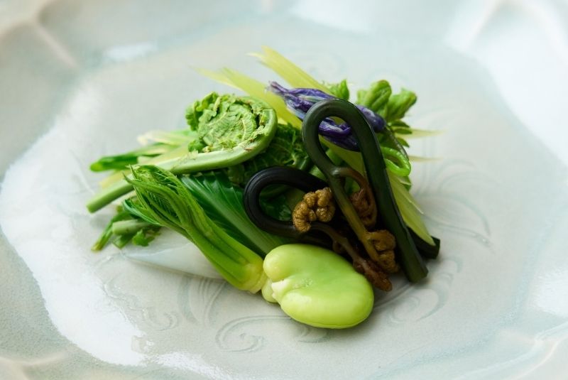 A50BR24-51-100-Copy-Myoujyaku