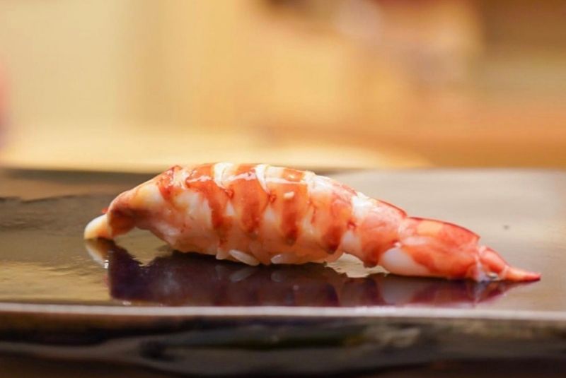 A50BR24-51-100-Copy-Sugita