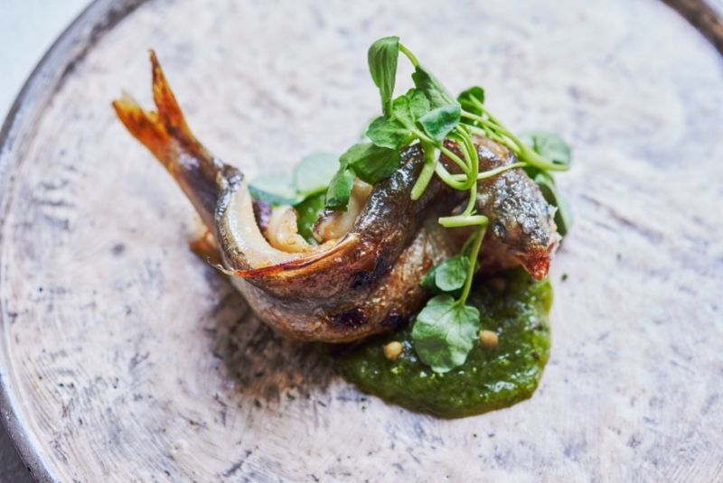 A50BR24-51-100-Copy-alla-prima