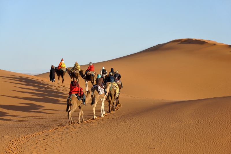 Bedouin-travellers