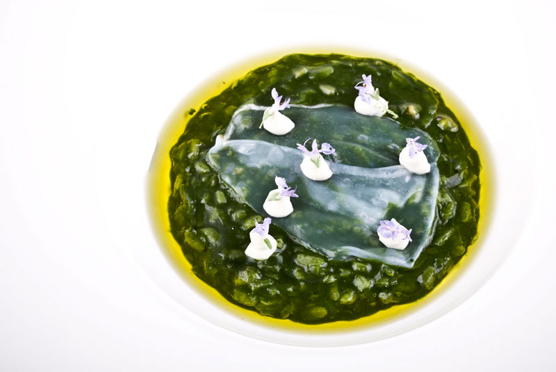 Blog19-DecadeDishes-Aponien