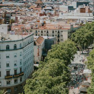 Where Barcelona's best chefs go for tapas and a caña