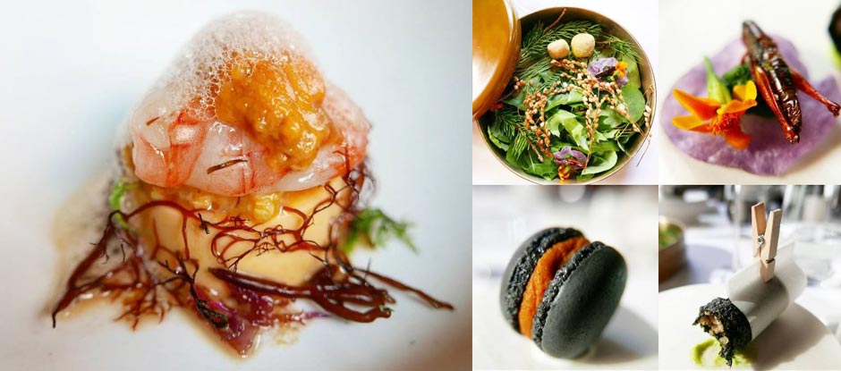 Highlights from the KoreaNYC Gala Dinner at Jungsik