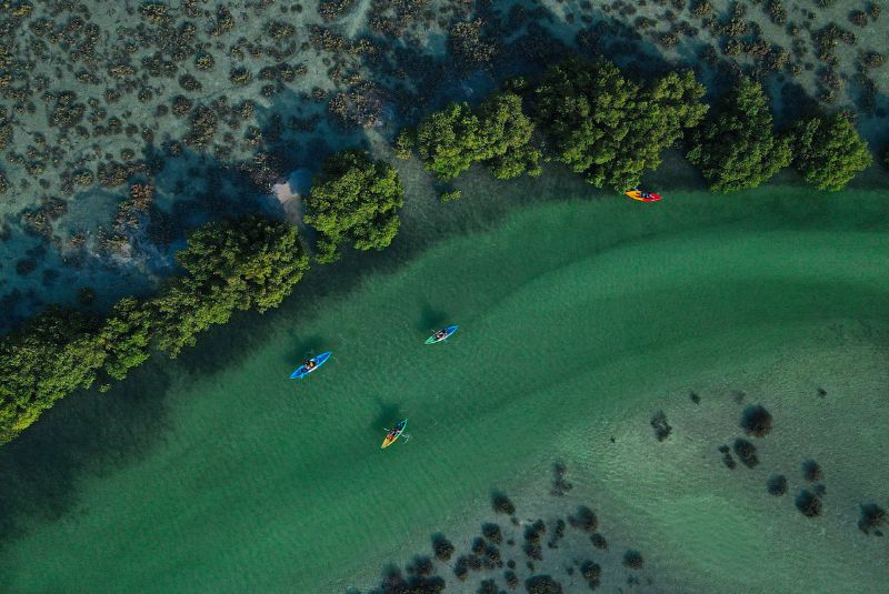 MENA25-Article-AbuDhabi-Copy-Jubail-Mangrove