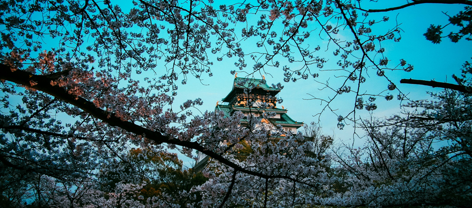 The best places to go in spring 2025