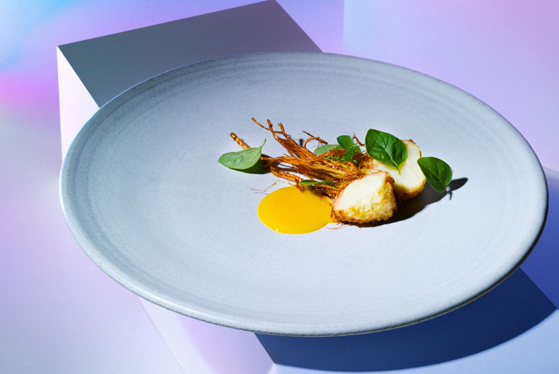 Stories20-Blackout-Nobel-Di