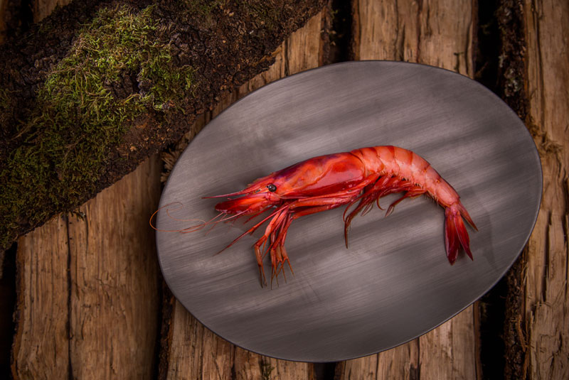 Stories20-Cookbooks-Etxebar