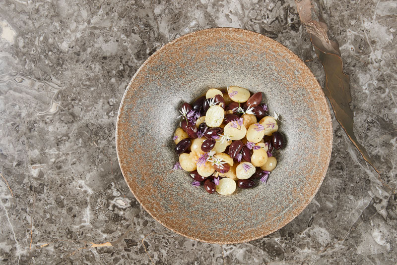 Stories20-Coro-Angelika-Pot