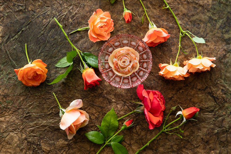 Stories20-Coro-Miraz-Gamber