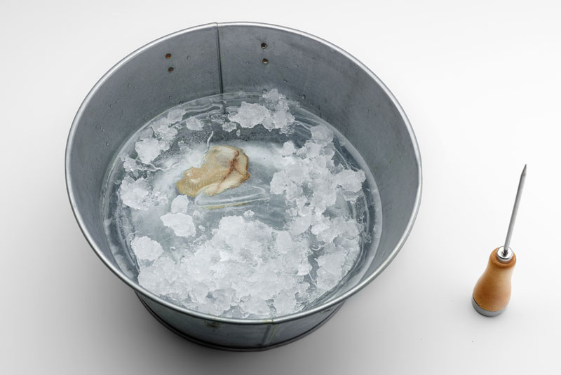 Stories20-Coro-Mugar-Zero