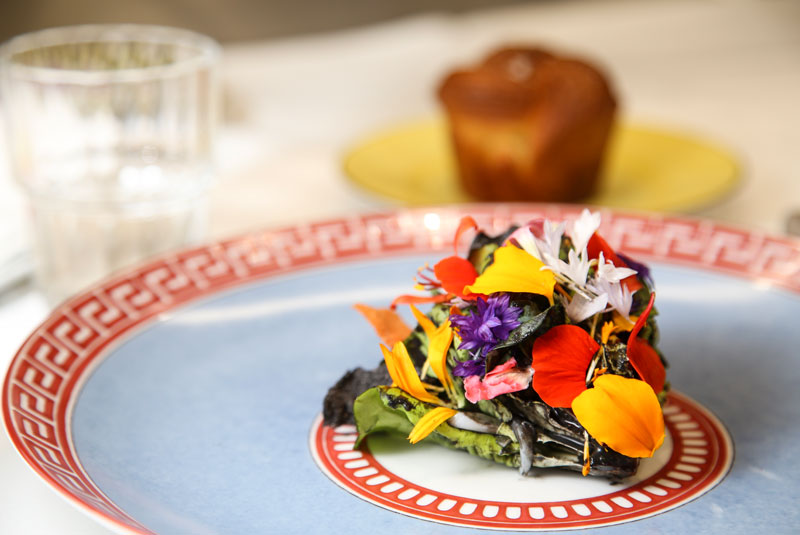 Stories20-Coro-Oster-Cellop