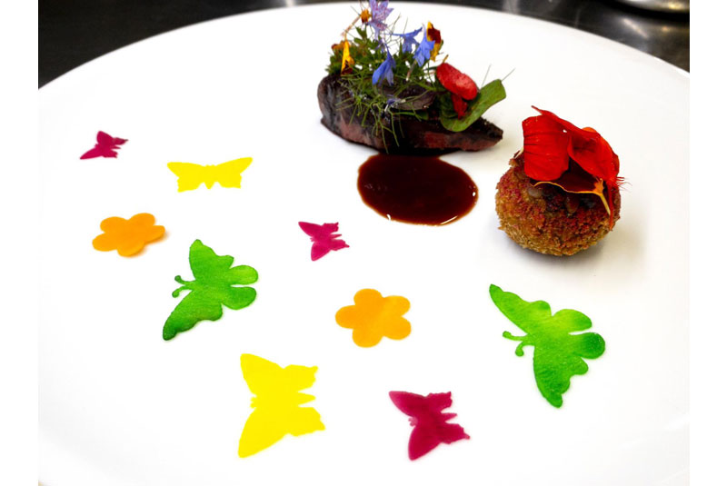 Stories20-Coro-Oster-Yellow