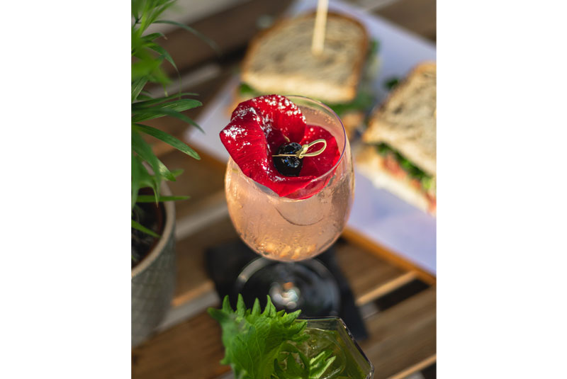 Stories20-Coro-Parad-Flower