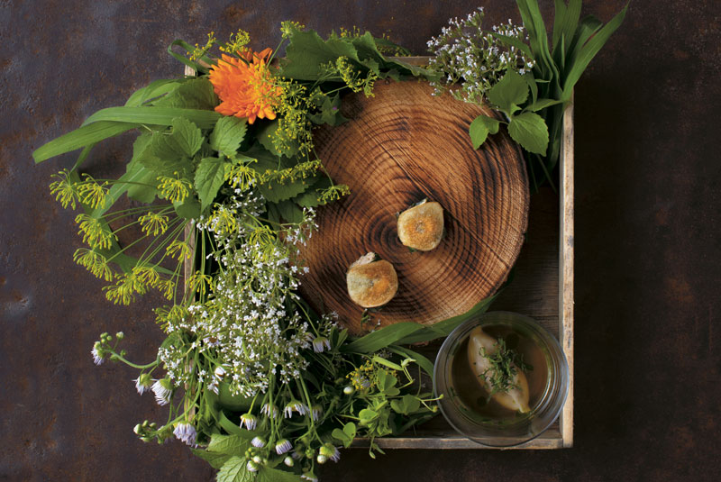 Stories20-DomAna-AnaDish-80