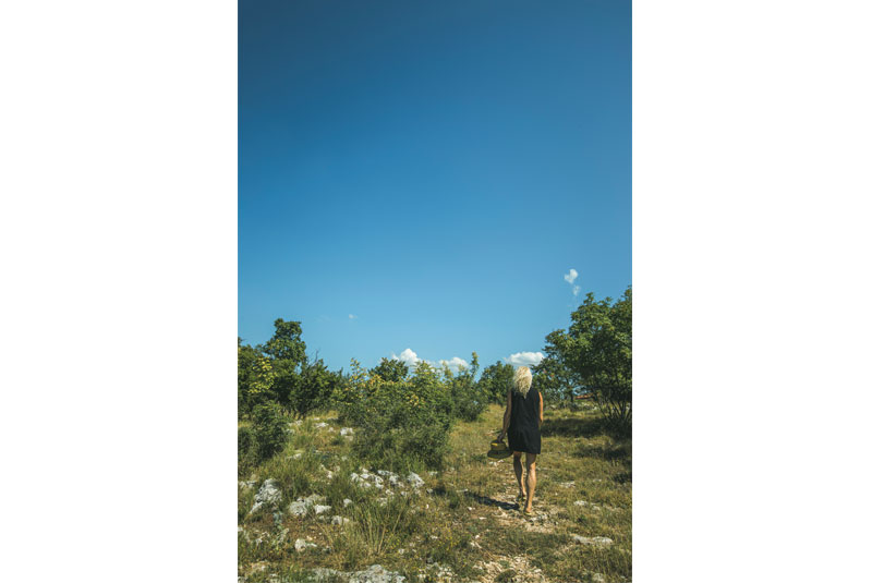 Stories20-DomAna-AnaWalks-8