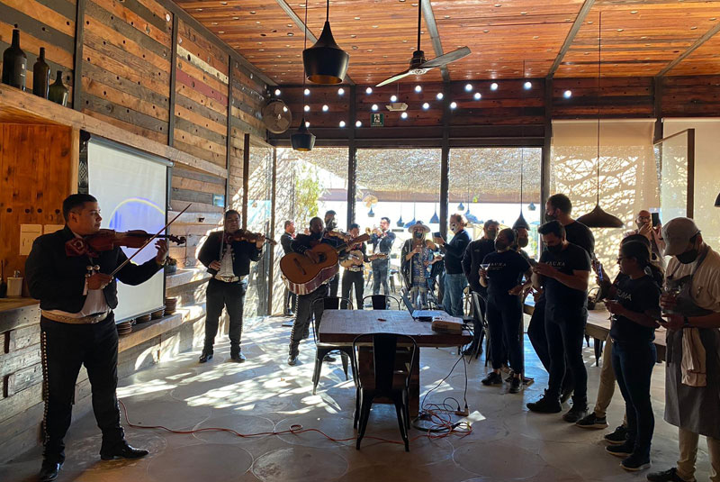 Stories20-LatAmHigh-Fauna