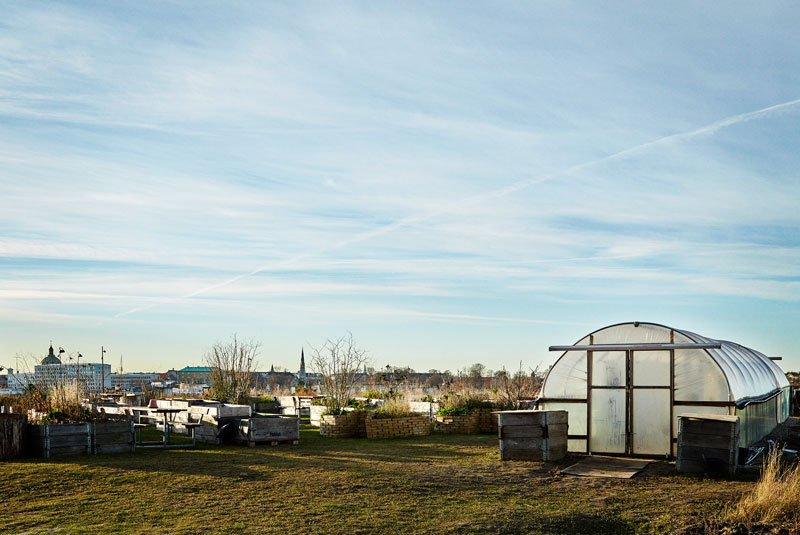 Stories20-SustTips-Compost