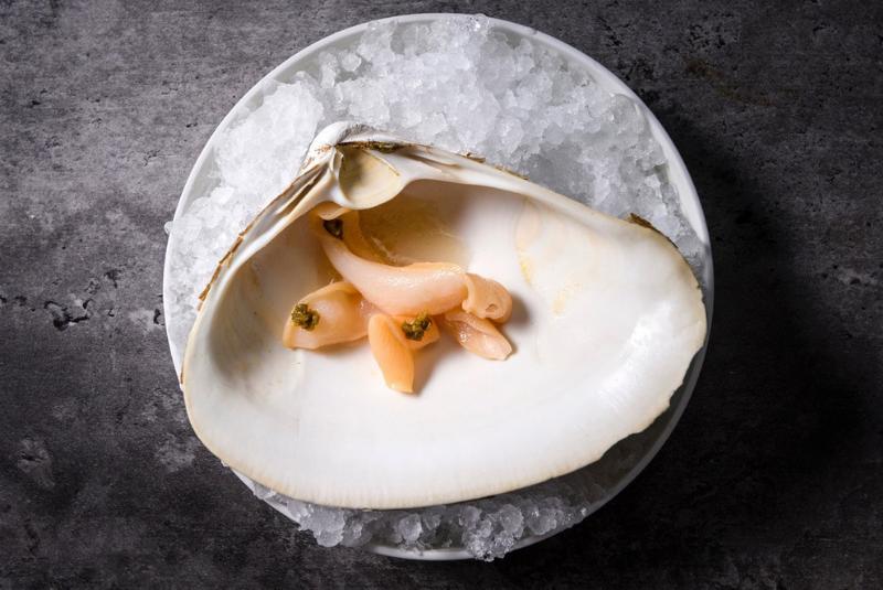 Victoria-Blamey-NewYork-1