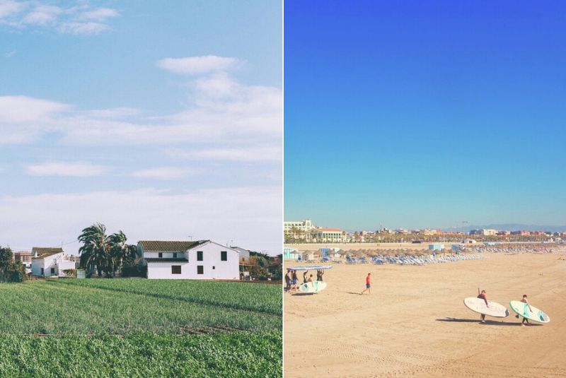 W50BR23-paella-history-Valencia-beach-field