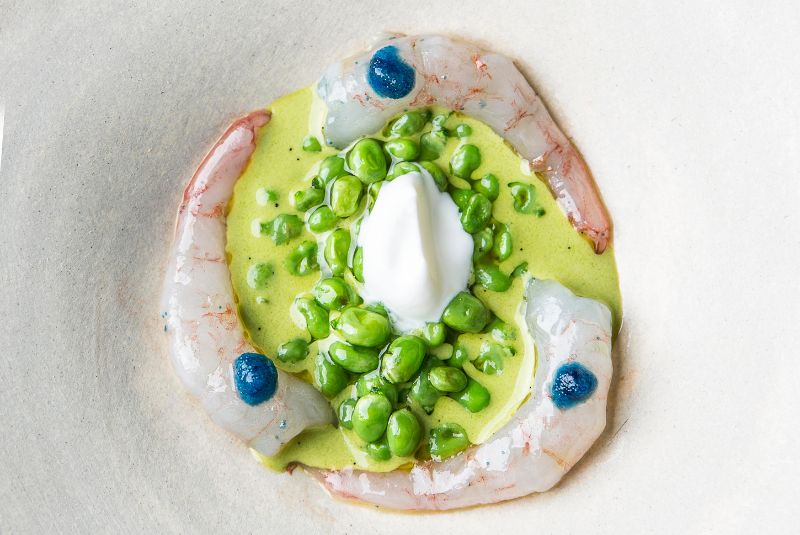 W50BR24-51-100-listinpic-Aponiente-Copy