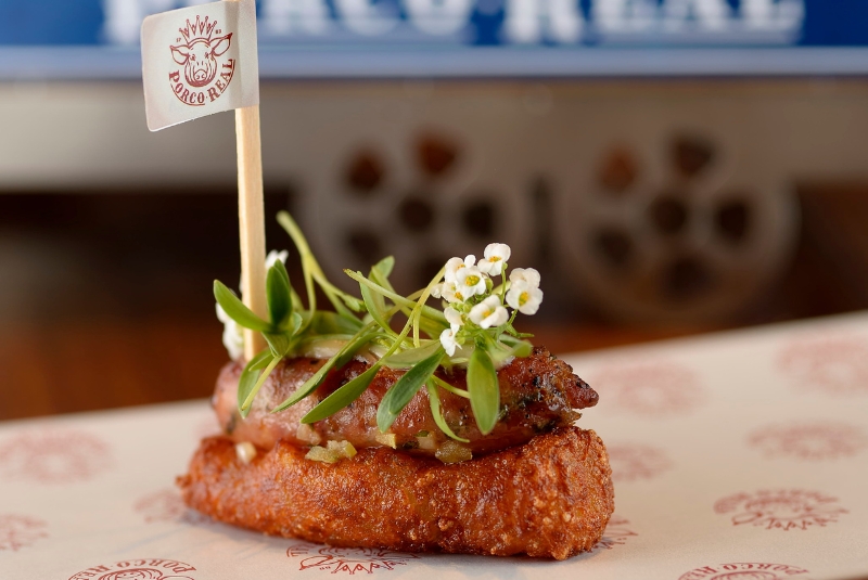 W50BR24-Casa-do-Porco-Copy