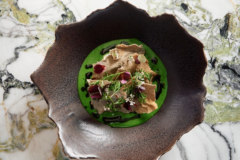 W50BR24-Quintonil-Copy