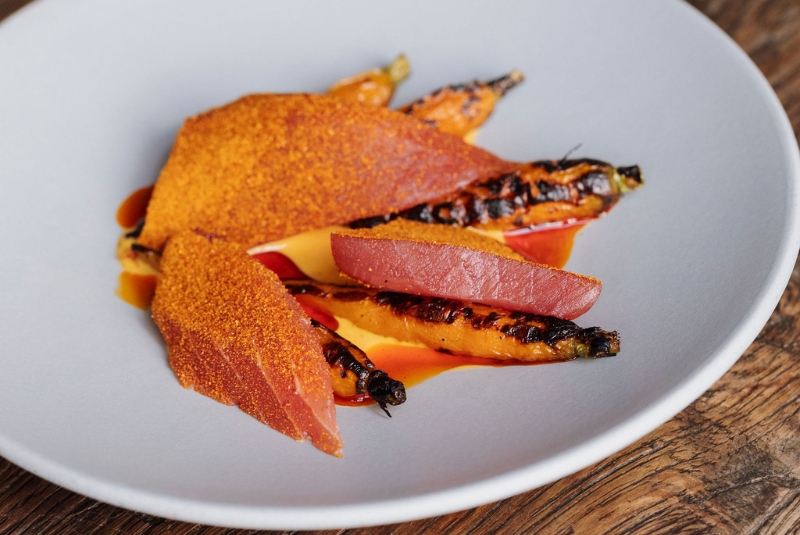 W50BR24-Septime-Copy