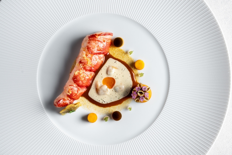 W50BR24-Suhring-Copy